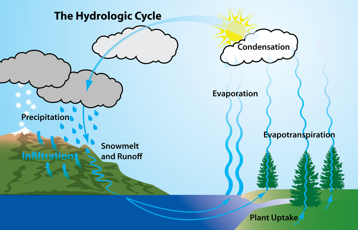 hypothesis on water cycle